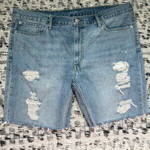 The Perfect Levi Jean Shorts